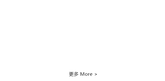 广东广菱电梯有限公司